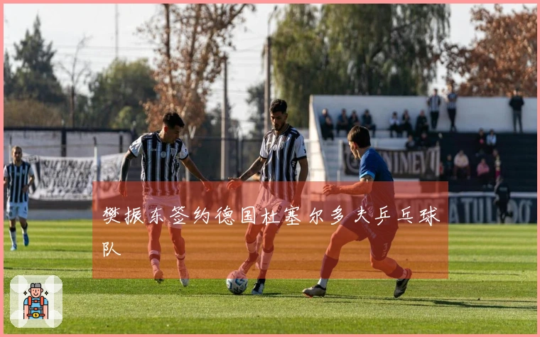 樊振东签约德国杜塞尔多夫乒乓球队